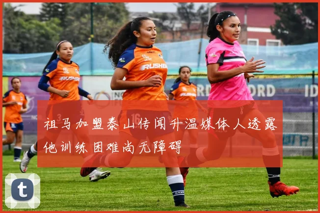 祖马加盟泰山传闻升温媒体人透露他训练困难尚无障碍