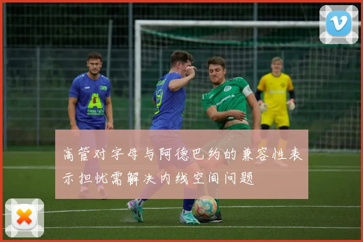 高管对字母与阿德巴约的兼容性表示担忧需解决内线空间问题