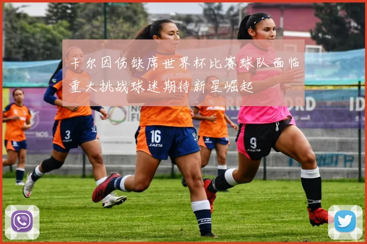 卡尔因伤缺席世界杯比赛球队面临重大挑战球迷期待新星崛起